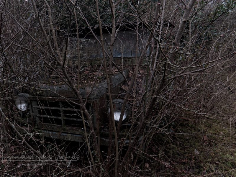 Ein Garten der besonderen Art